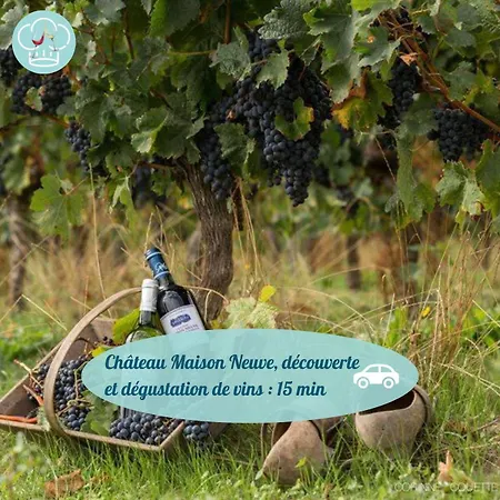 Maison Chelona Peinte Par Chelona'loc Saint-Ciers-du-Taillon